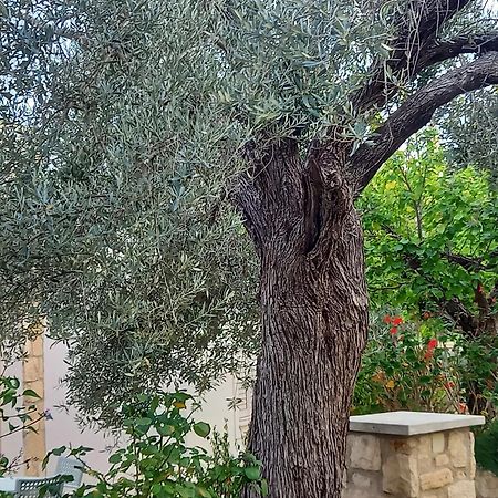 Villa Koumneni Pano Akourdalia المظهر الخارجي الصورة