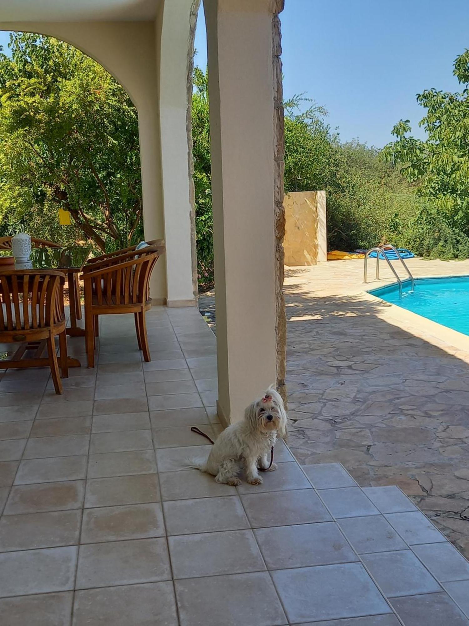 Villa Koumneni Pano Akourdalia المظهر الخارجي الصورة