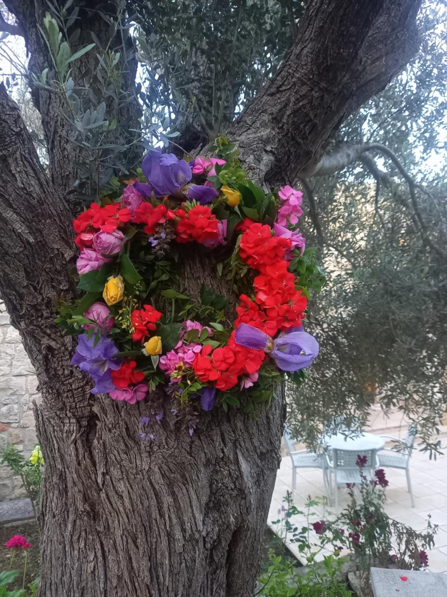 Villa Koumneni Pano Akourdalia المظهر الخارجي الصورة