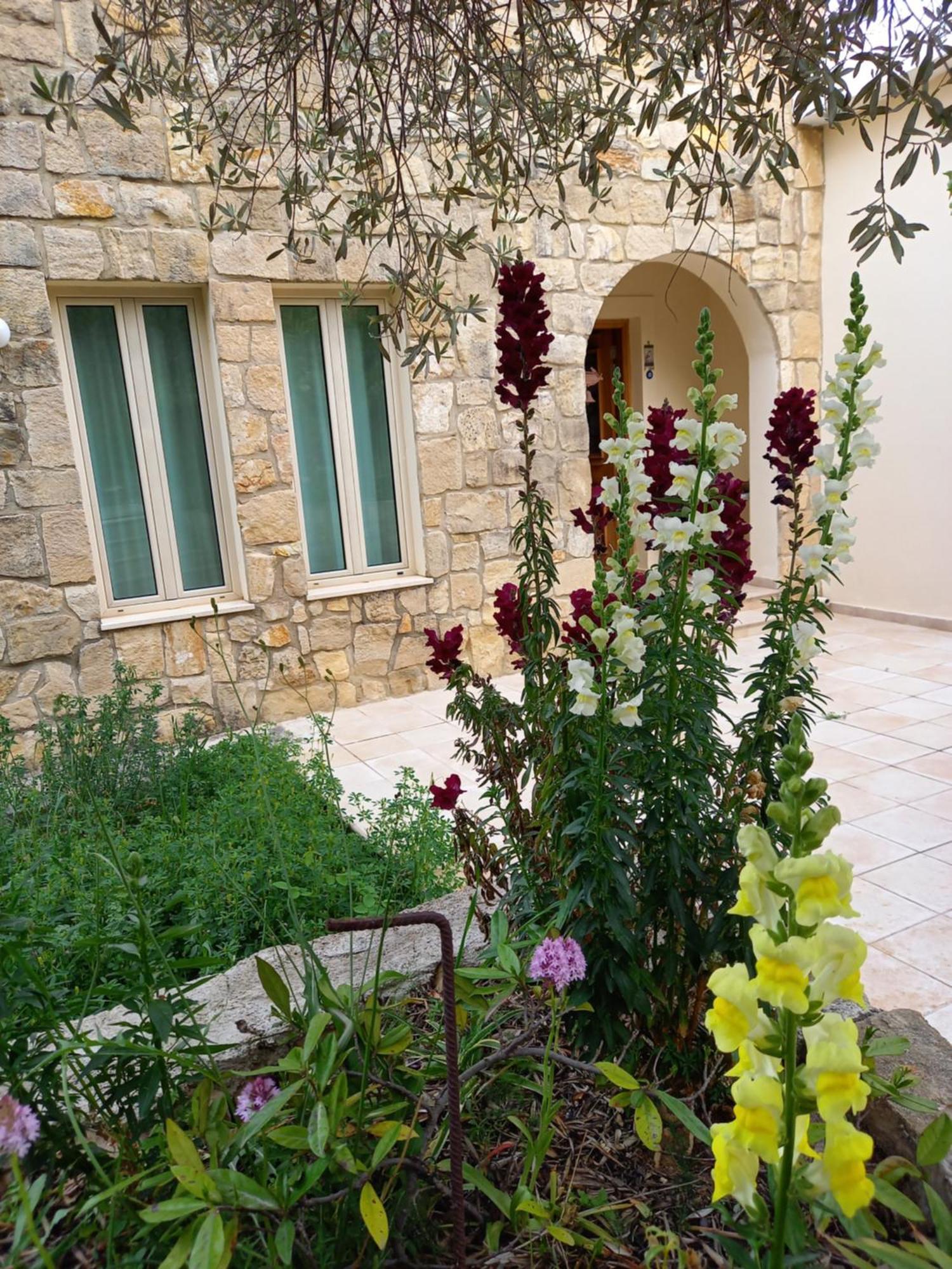 Villa Koumneni Pano Akourdalia المظهر الخارجي الصورة