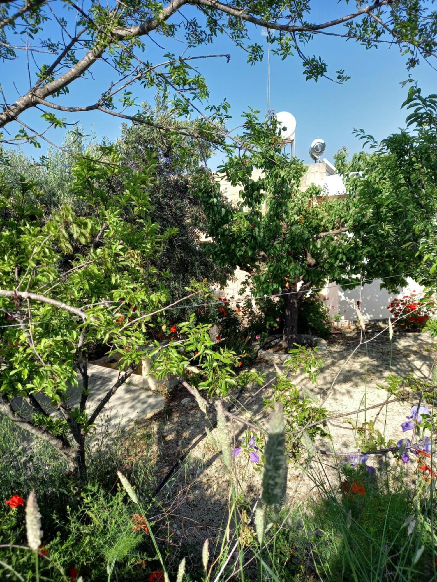Villa Koumneni Pano Akourdalia المظهر الخارجي الصورة