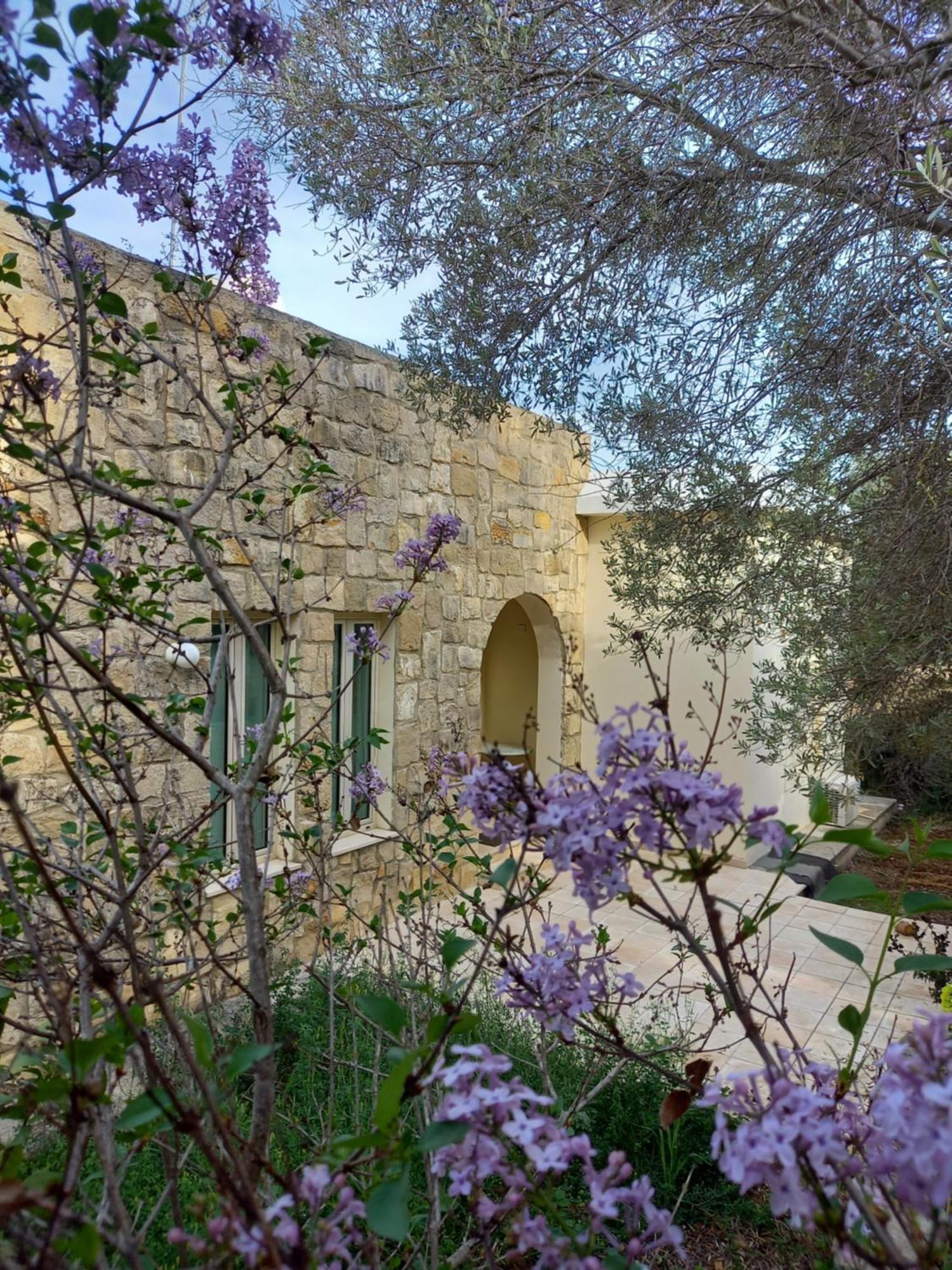 Villa Koumneni Pano Akourdalia المظهر الخارجي الصورة