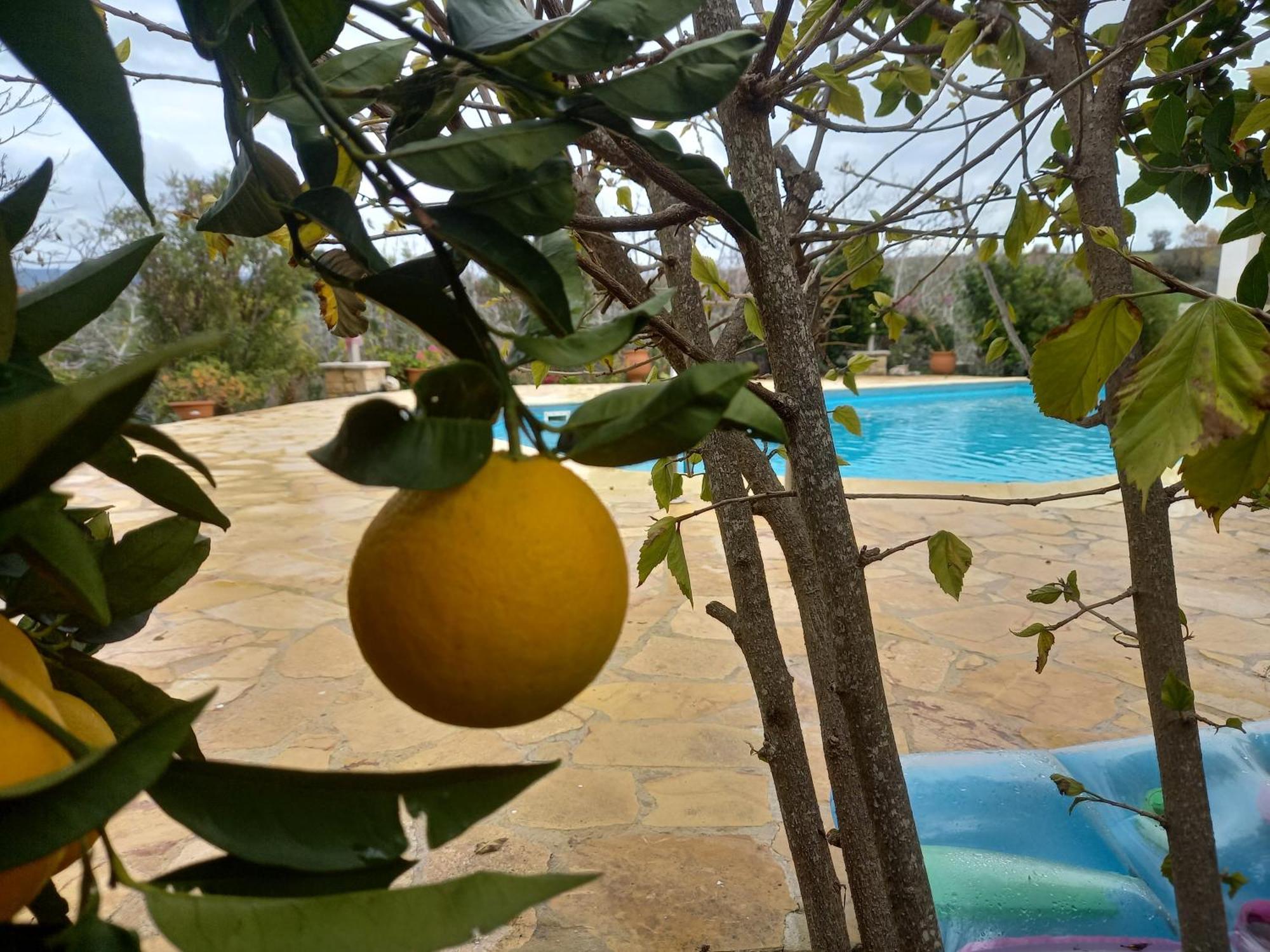 Villa Koumneni Pano Akourdalia المظهر الخارجي الصورة